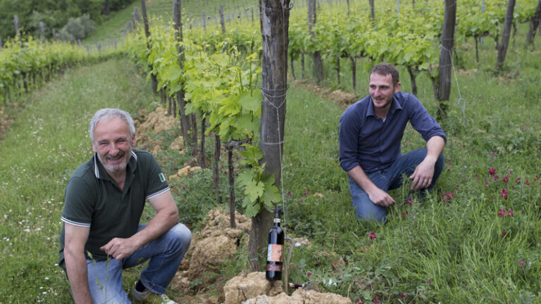 Ancora cazzeggio al Podere della Bruciata vini naturali Toscana